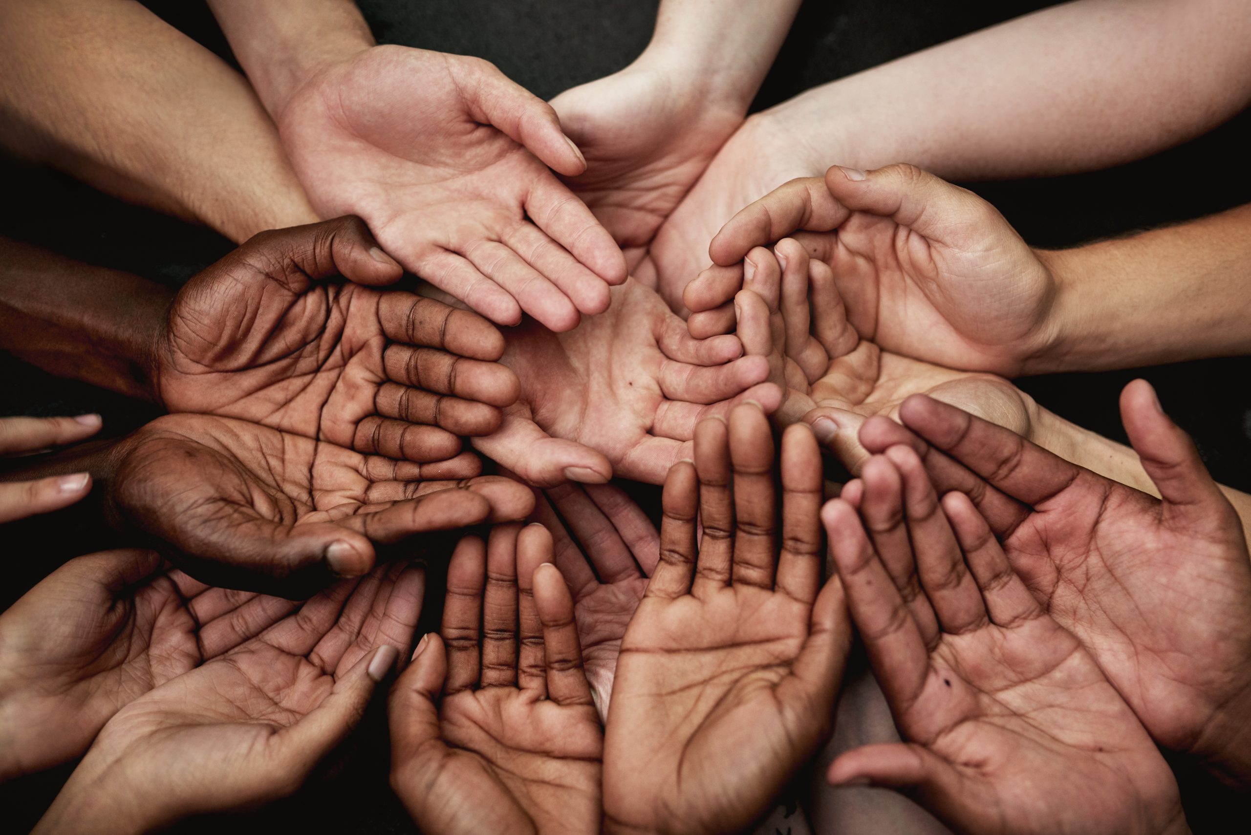 Diversity
